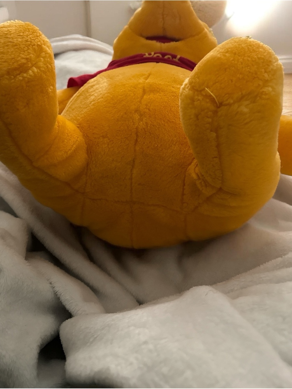 Winnie the Pooh by A,A. Milne book w/D24” Winnie the Pooh Plush - Picture 3 of 12